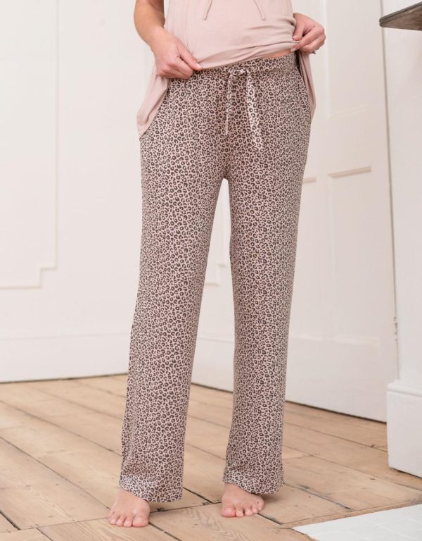 Jettywear.shopc512950a61 5